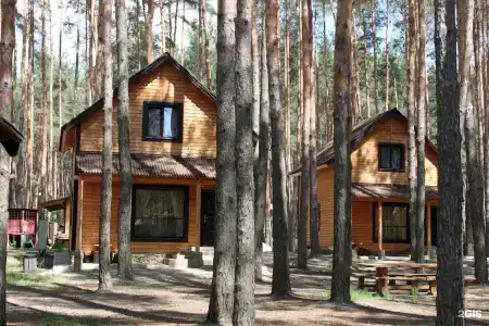 Аркадия - 18