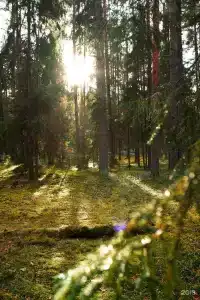 Бухта Коприно - 35