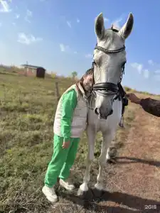 Прибой - 62
