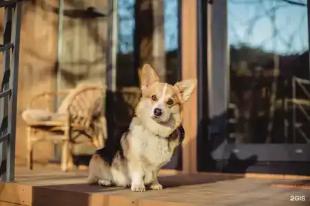 Эко-отель Ниагара - 28