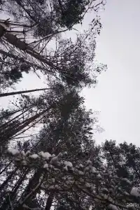 Живой Ручей - 60