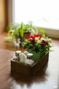 Сова - 19