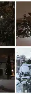 Астон Мартин Тауэр Арт - 13