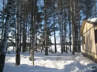 Янисъярви - 77