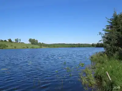 Ситинка - 29