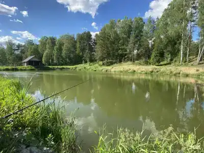 Верхнее Никольское - 16
