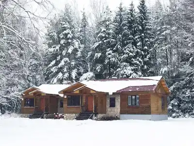 Пушкиногорье - 37
