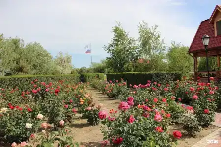 Зюйд-вест - 11