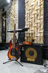 The Music Weekend - 12