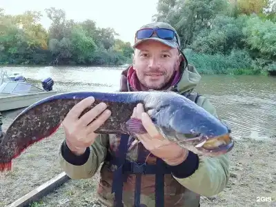 Fish Sense - 179