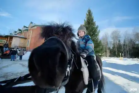 Сафари Парк - 45