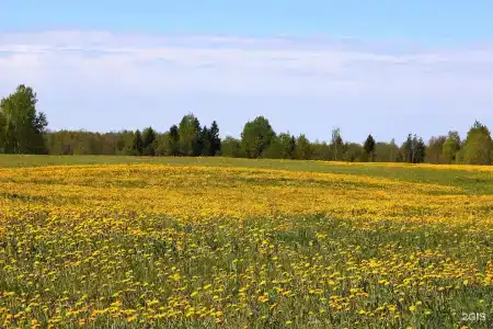 Изба на Опушке - Хутор Пралище - 29