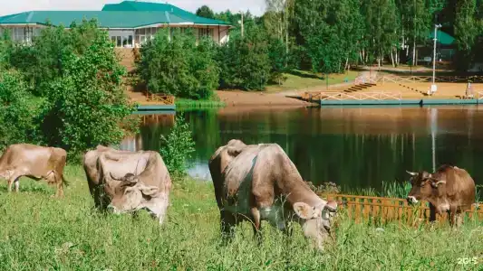 Екатеринки - 54