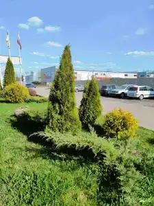 для приезжих - 18