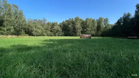 Чернолесье - 47