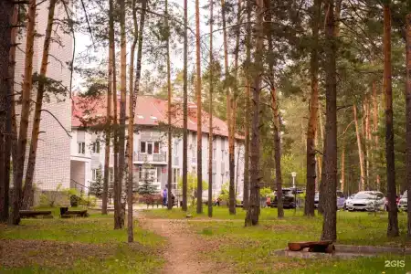 Русский лес - 21