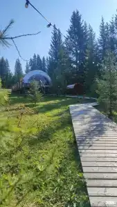 ЛадаГлэмп - 63