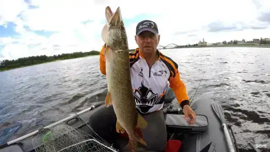 Стрелка - 37