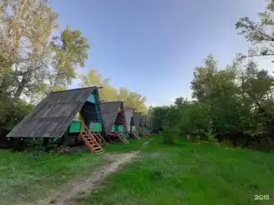 Чайка - 1