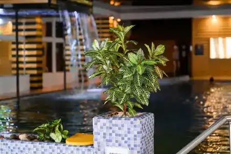 Grand Wellness Novahovo & Spa - 87