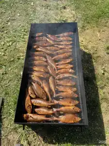 Семейный дом - 49