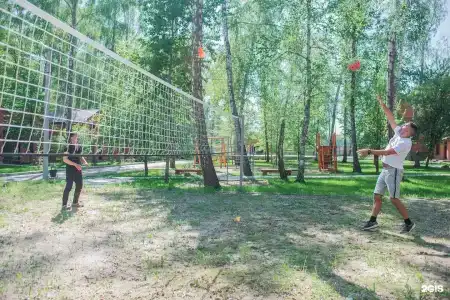 Золотая рыбка - 91