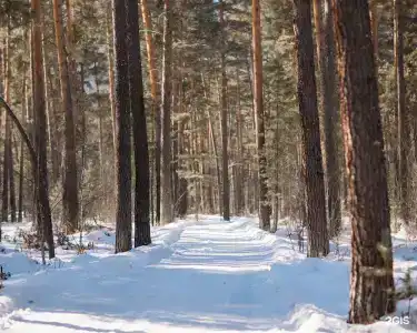 Таналтай - 44