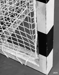 Согдиана - 61