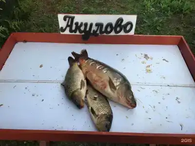 Рыболовный клуб Акулово - 106