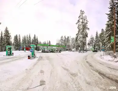 Медведь - 25