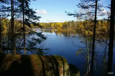Шелест - 19
