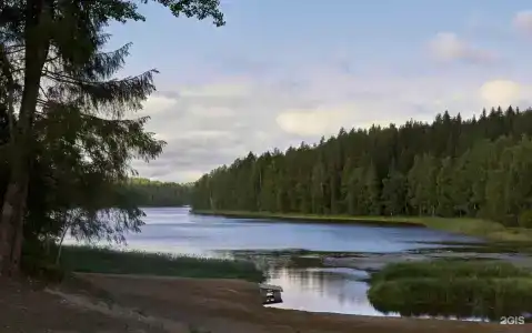 Шелест - 11
