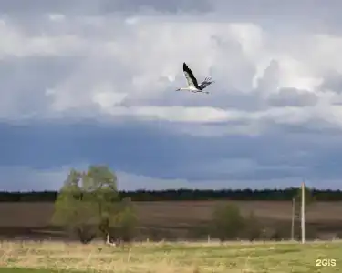 Усадьба купца Баева - 43