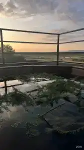Сибирь - 18