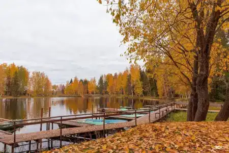 Загородный клуб VALDAY HUNTING & COUNTRY CLUB - 40