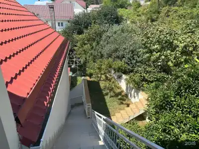 Green House - 9