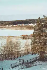 Вигор - 24