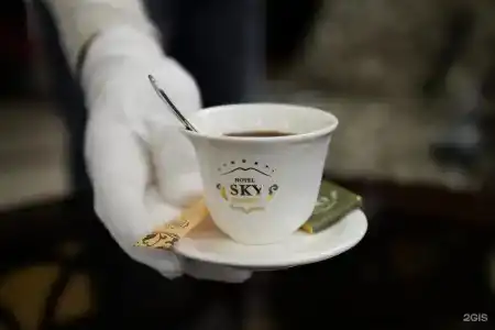 Sky - 41