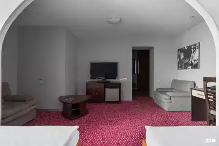 Marins Park Hotel - 104