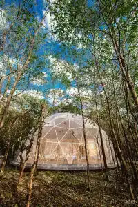 Эко-отель Ниагара - 55