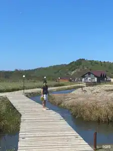 Красный кот - 72