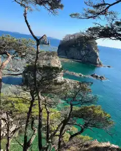 Красный кот - 14