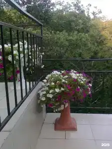 Дикий Берег - 26