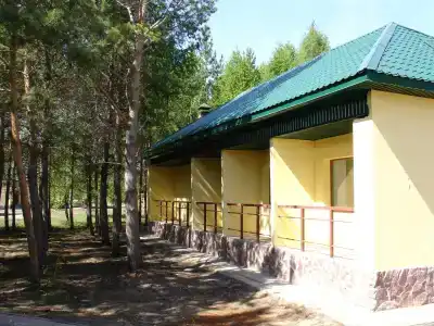 Мечта - 61