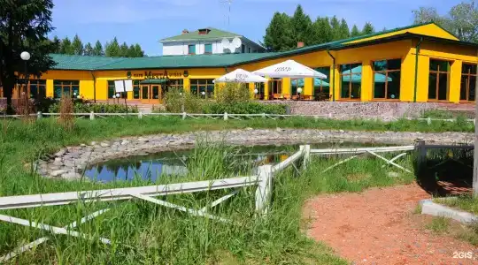 Мечта - 49