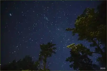 Усадьба Медовая - 2