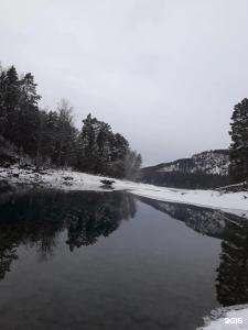 Лисья нора - 8