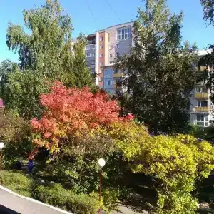 Спутник - 132