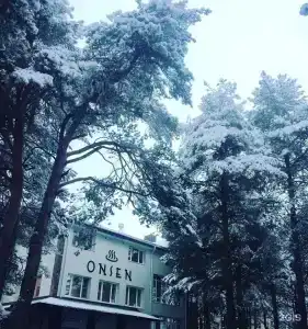 Онсен - 99