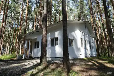 ДухЛес - 105